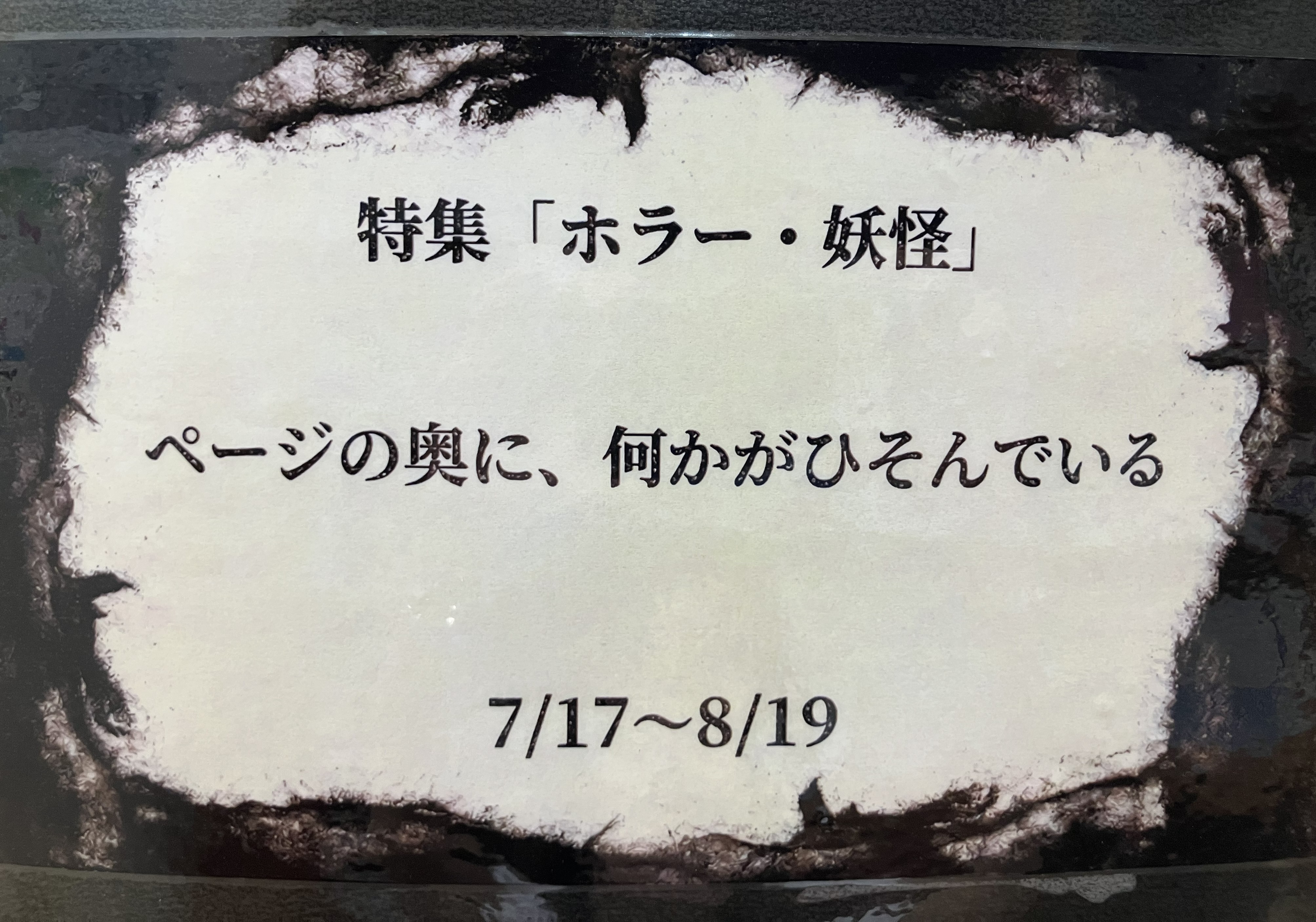 2026年7月YA展示