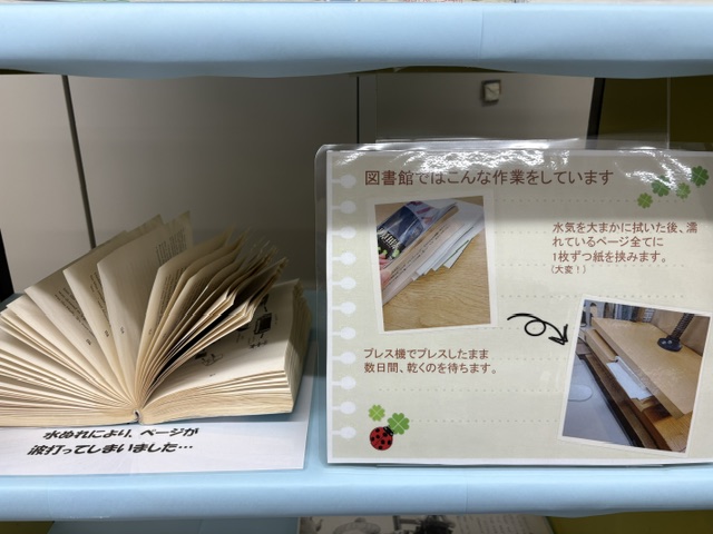 水濡れ防止_赤坂2025B