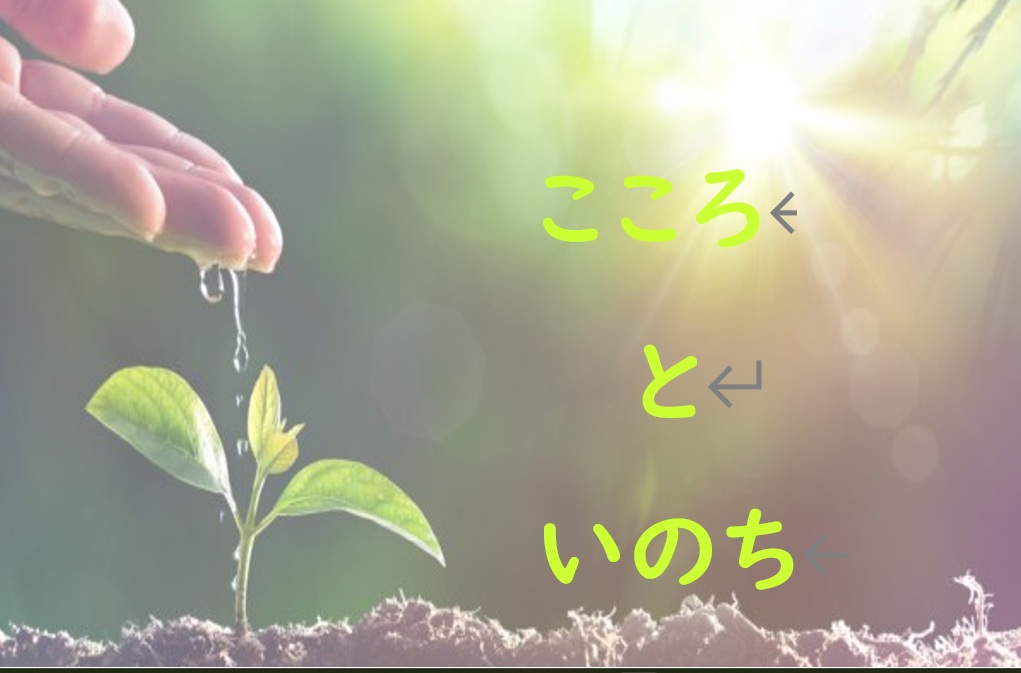 こころといのち（台場）